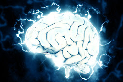 Tips meningkatkan kecerdasan otak agar jenius