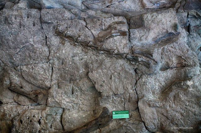 Dinosaur National Monument Utah geology fossils travel rocks hiking camping outdoors scenery copyright RocDocTravel.com