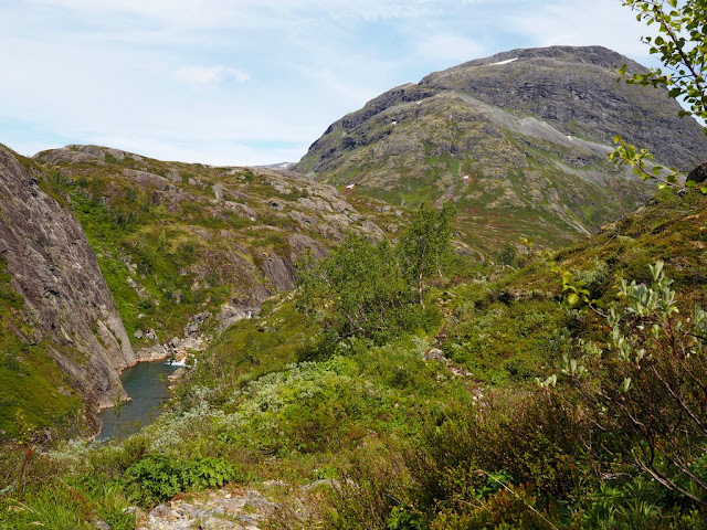 řeka, voda, příroda, údolí Storutladalen, Norsko, Jotunheimen