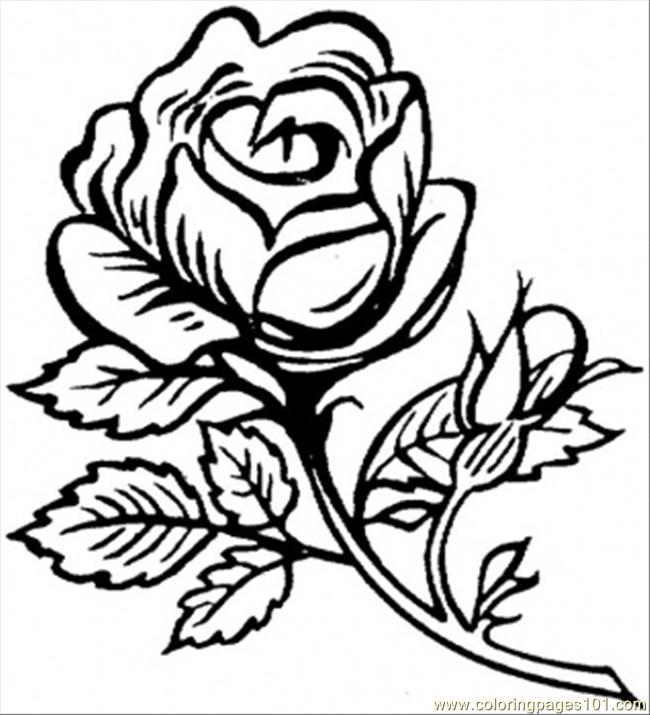 flower coloring pages download hq beautiful flower coloring pages  title=