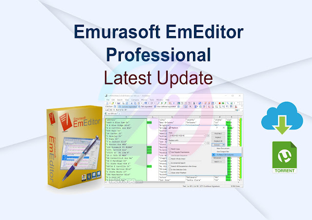 Emurasoft EmEditor Professional 23.1.3 Latest Update