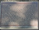 P1140366 (Large)