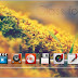 BARRA DE PROGRAMAS ROCKETDOCK PARA WINDOWS 7, 8 Y 10 + SKINS 