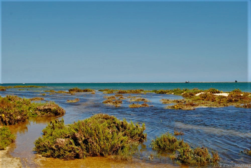 Olhao i bajkowy rezerwat Parque Natural da Ria Formos, czyli kolejne atrakcje Algarve. 