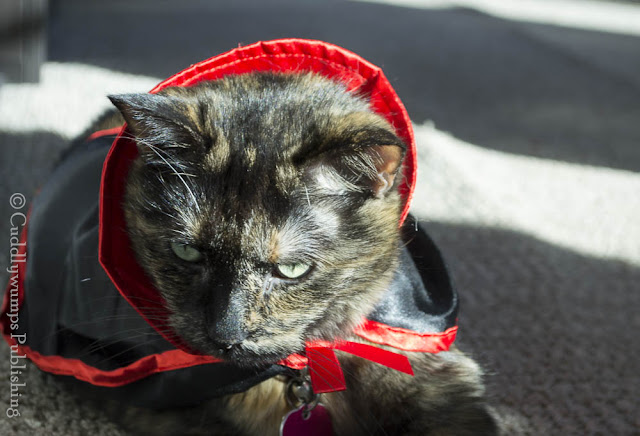 Real Cat Paisley in her Dracula cape