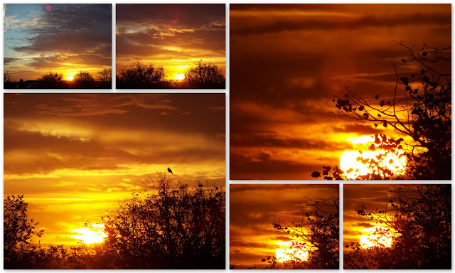 autumn sunrises, dawn, nature, sunshine, clouds, daylight, tankerton, whitstable, kent,