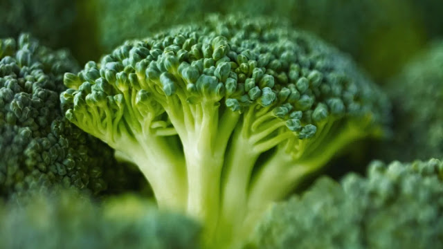 Small Piece Of Raw Broccoli
