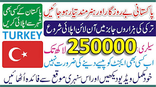 Turkey Visa Online - Turkey Visa fee for Pakistan 2023 - Turkey Jobs for Pakistani 2023