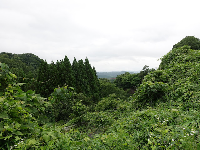 鳥取県西伯郡伯耆町添谷　丘の上の田園に向かいます