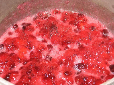  I similar to add together a few novel items to my criterion cookie boxes every twelvemonth CRANBERRY SHORTBREAD BARS