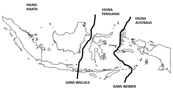  Fauna  Asiatis  Australis dan Peralihan Adhitya Nugraha 