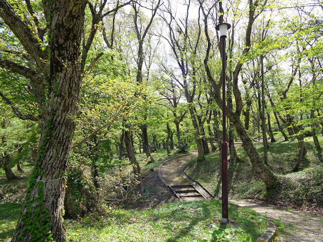 豪円山キャンプ場