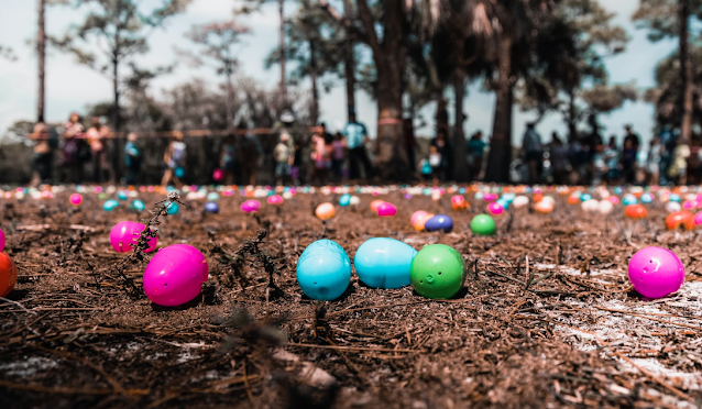 assorted color faberge egg on brown grass