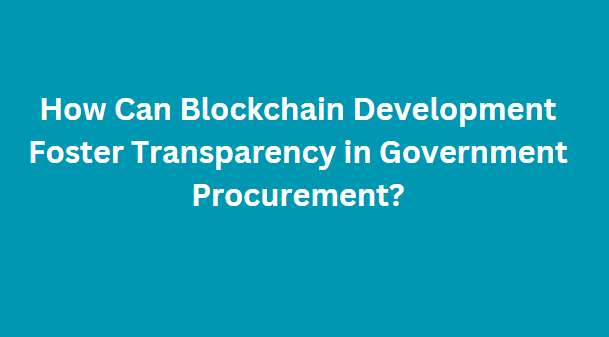 How Can Blockchain Development Foster Transparency in Government Procurement?