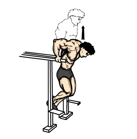 Ilustrasi latihan dips