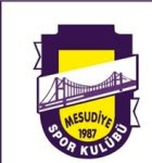 MESUDİYESPOR ARMASI