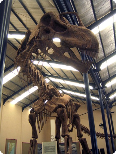 neuquen argentinosaurus_fragment