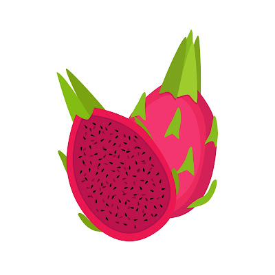 Pencil Sketch and Free Cartoon Images of Dragon Fruit