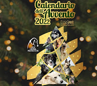 Innovet "Calendario dell'Avvento 2022" : apri le caselle per donare prodotti Gratis