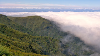 Madeira. Paul da Serra. Miradouro