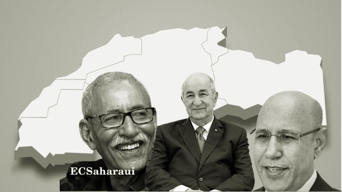 الرئيس الصحراوي يجدد استعداد بلاده للتعاون مع دول الجوار للتصدي لكل "المخططات التخريبية التي تستهدف السلم والأمن" 