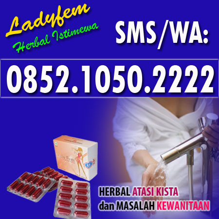 Agen Ladyfem Solok, Distributor Ladyfem Solok, Jual Ladyfem Solok, Ladyfem Solok, Agen Ladyfem, Distributor Ladyfem, Jual Ladyfem, Ladyfem Sumatera Barat, 