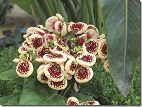 P5054311