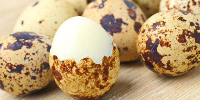 Facts about Quail Eggs