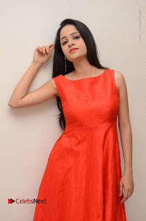 Telugu Actress Divya Nandini Stills in Orange Sleeveless Gown at Chennai Chaitrama Movie le Launch Event  0077.JPG