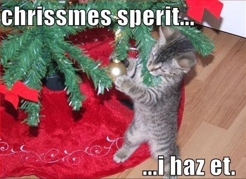 10 Hilarious Christmas  Memes  Entertainment Ghost