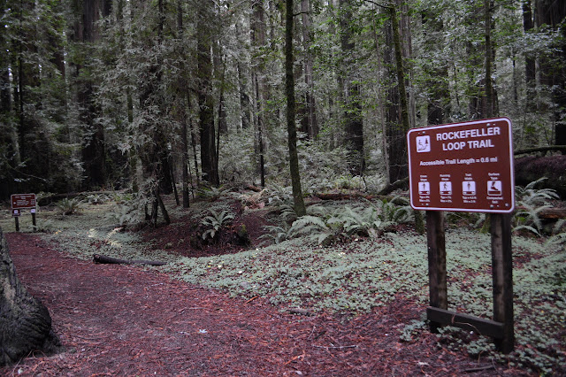 signs at the start of the loop