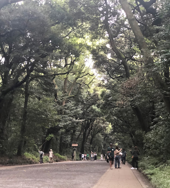 parc Yoyogi Harajuku