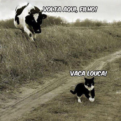 Vaca louca.