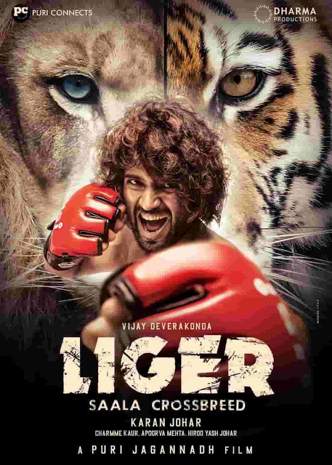 Download Liger Full Movie Hindi (2022) HD 480p [400MB] | 720p [1.2GB] | 1080p