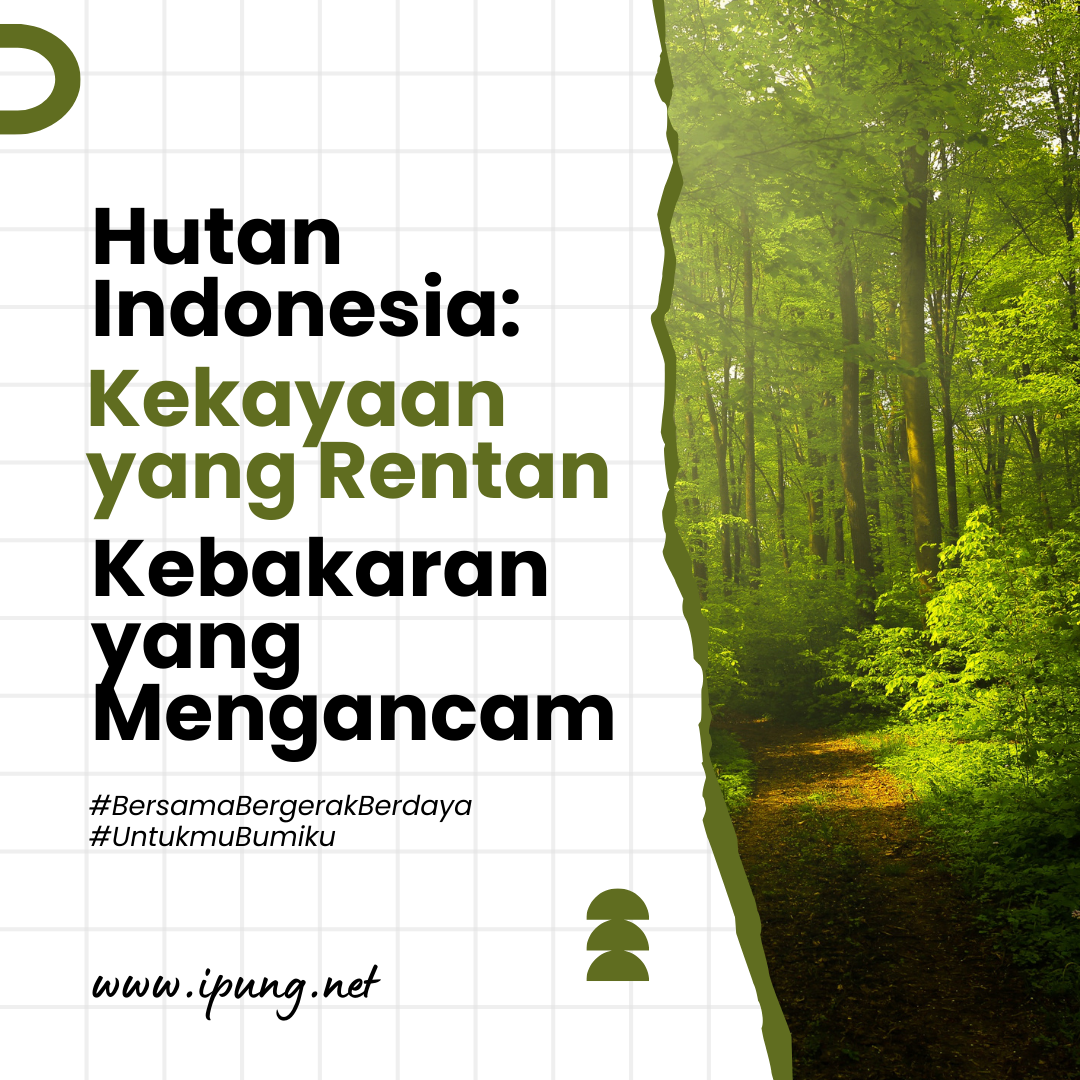 Hutan Indonesia: Kekayaan yang Rentan, Kebakaran yang Mengancam