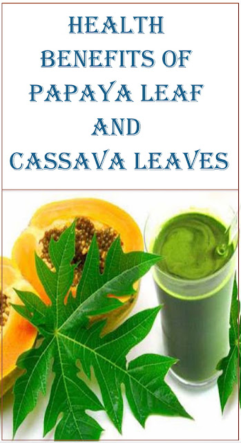 Benefits of Papaya Leaf and Cassava Leaves