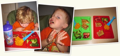 View product review - tray