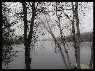 fog over the lake