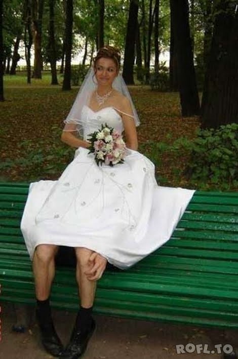 Labels crazy wedding pictures funny wedding photos funny wedding pictures 