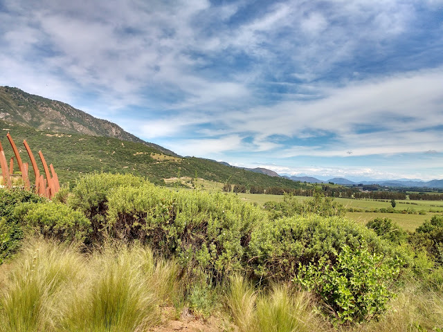 Viñedo Apalta, Valle Apalta, Colchagua, Chile