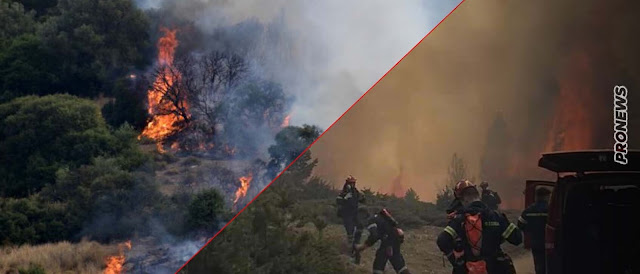 Η Ελλάδα ξεκίνησε να καίγεται, πυροσβεστικά δεν υπάρχουν και αυτά που αγοράστηκαν είναι ίδια με τα παλιά ανεπαρκή Canadair