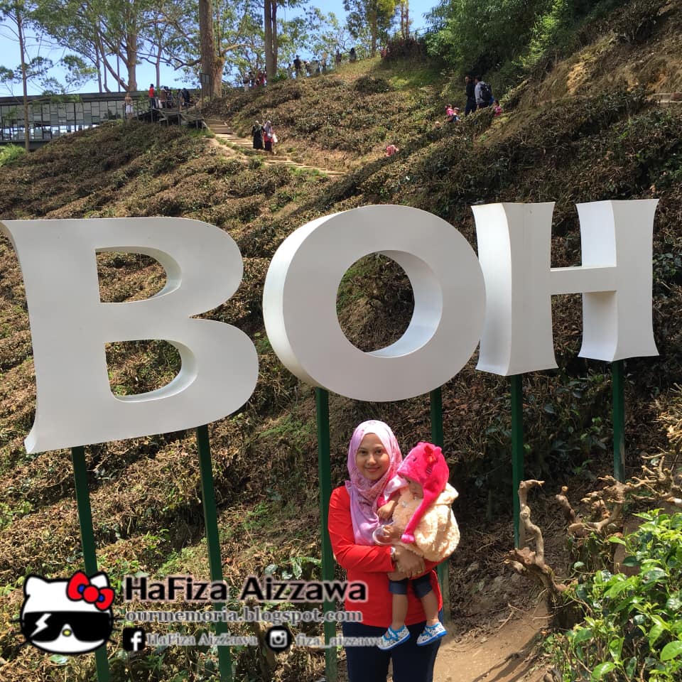 Ladang Teh Boh Sg Palas Cameron Highlands Semakin Ramai Pengunjung