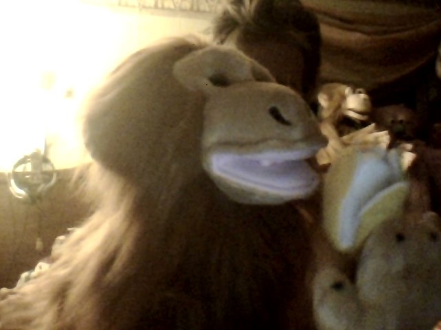 Meet My Puppets,Puppets,Orangutan,Apes,The Puppet Company,