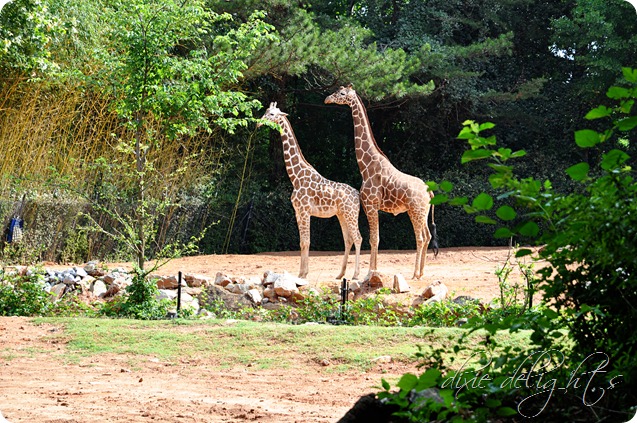 May 2012 040 copy