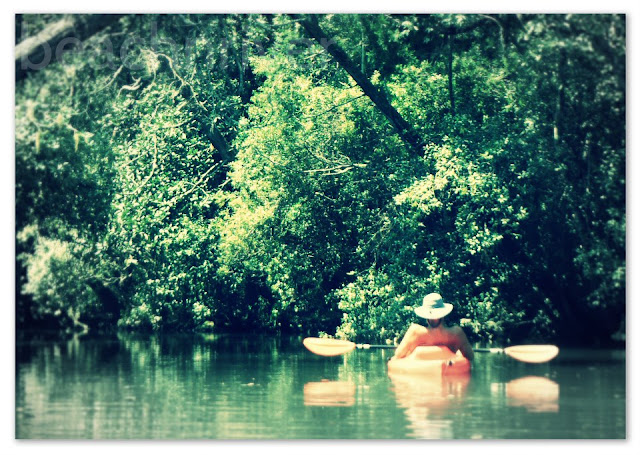 You Can Still Find Solitude Kayaking With BeachnRiver Kayak Rentals