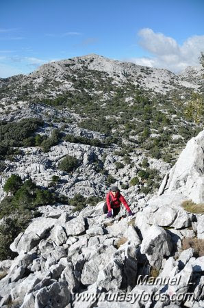 Subida al Pico del Encinar