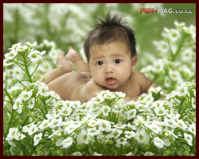 babies wallpaper. Desktop Wallpapers Of Babies