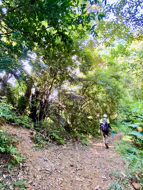 回抵金童山登山口