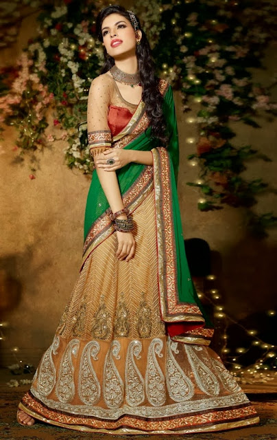 Banarasi Silk Saree Dresses 2013-14 For Women & Girls