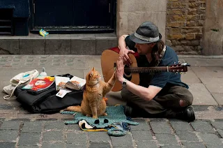 Um gato de rua chamado Bob